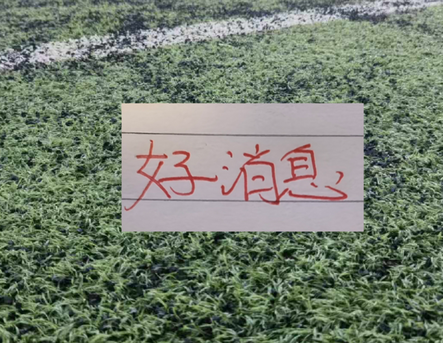 M费去哪都降级曼联仍要签,原因曝光B费支持!最终转会费或7000万
